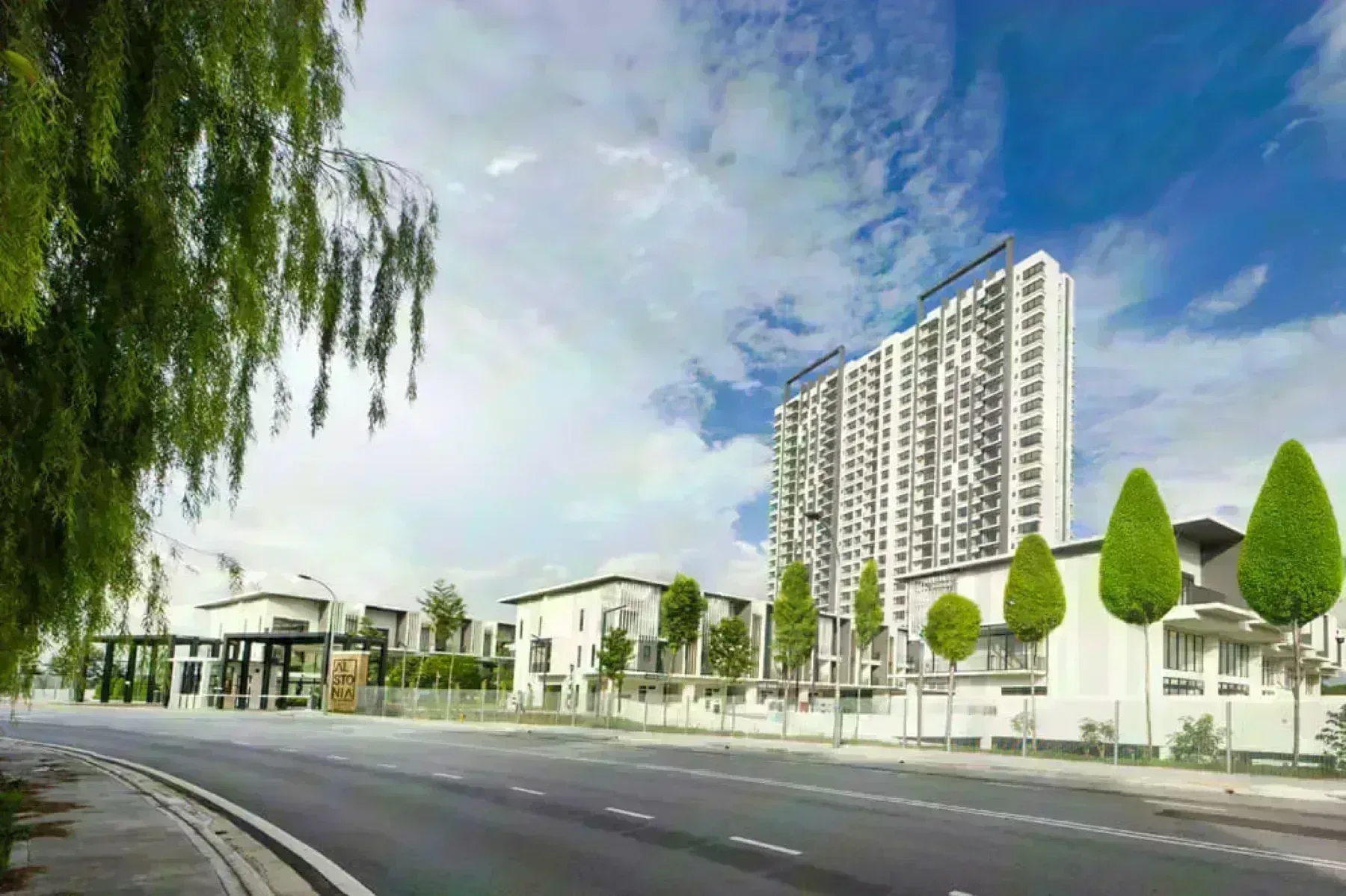 Alstonia in Sungai Buloh